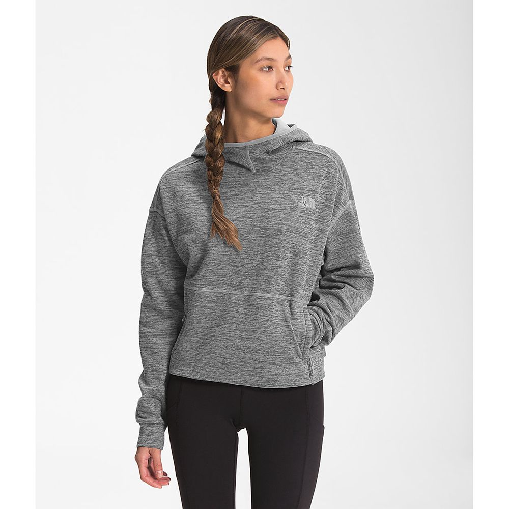 The North Face Fleece Womens Australia - The North Face Canyonlands Pullover Crop Grey (VFX-123469)